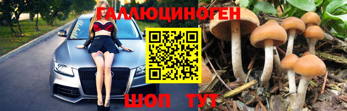 МЕФ Кувандык