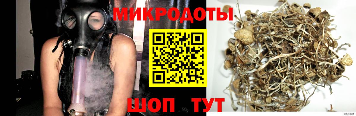 Псилоцибиновые грибы мухоморы  Вход с VPN  где купить наркоту  Кувандык 
