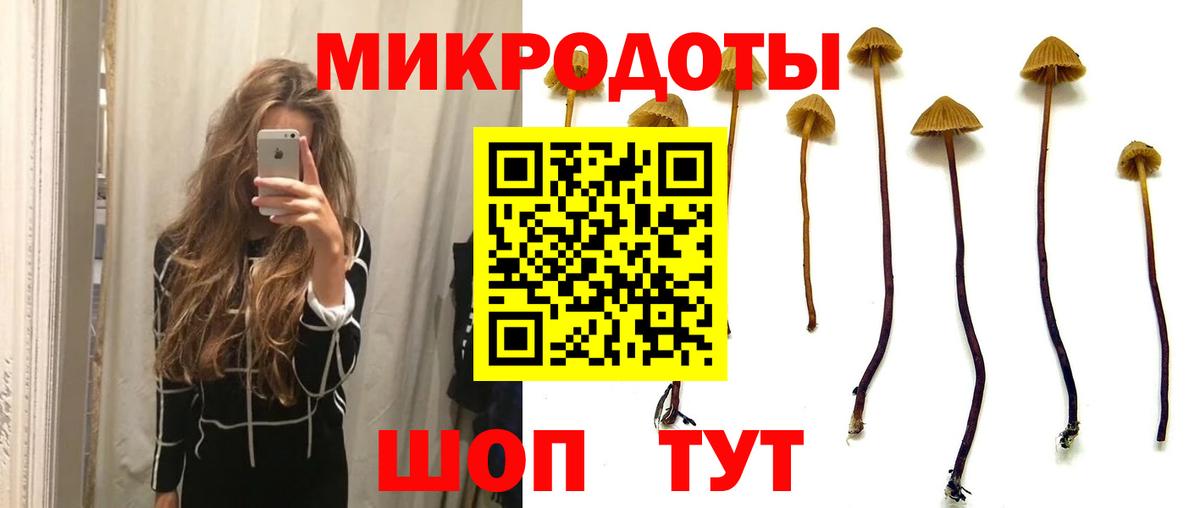 Галлюциногенные грибы ЛСД Кувандык